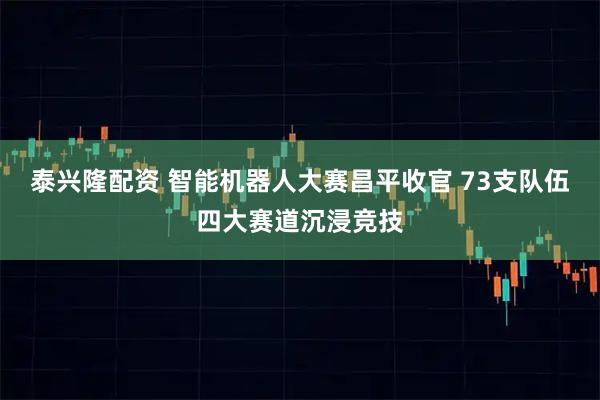 泰兴隆配资 智能机器人大赛昌平收官 73支队伍四大赛道沉浸竞技