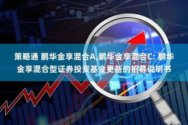 策略通 鹏华金享混合A,鹏华金享混合C: 鹏华金享混合型证券投资基金更新的招募说明书