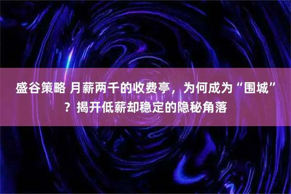 盛谷策略 月薪两千的收费亭，为何成为“围城”？揭开低薪却稳定的隐秘角落