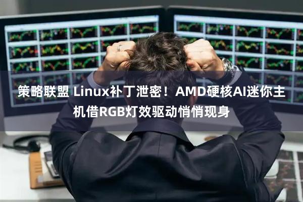 策略联盟 Linux补丁泄密！AMD硬核AI迷你主机借RGB灯效驱动悄悄现身